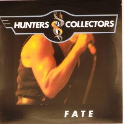 Пластинка Hunters & Collectors Fate